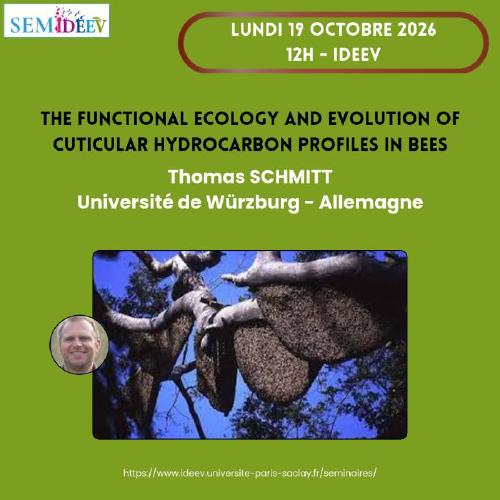 The functional ecology and evolution of cuticular hydrocarbon profiles in bees