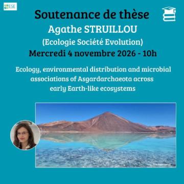Ecology, environmental distribution and microbial associations of Asgardarchaeota across early Earth-like ecosystems