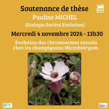 Evolution des chromosomes sexuels chez les champignons Microbotryum